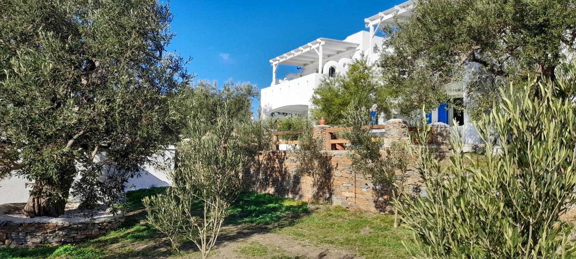 Aspra Chomata Villas Karystos  Exterior foto